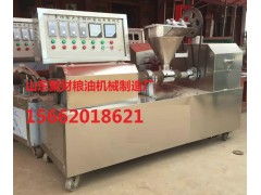 全自動豆制品機(jī)械聚財(cái)人造肉機(jī)專業(yè)