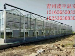 智能溫室哪里的好？如何選擇智能溫