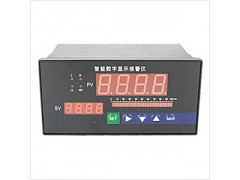 肯創(chuàng)儀表 8點(diǎn)巡檢儀 產(chǎn)品型號： KCX